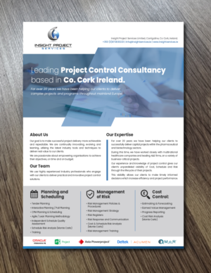 Insight Project Services - Flyer | Flyer Design by Alexandar