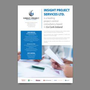 Insight Project Services - Flyer | Flyer Design by Ashley Erasmus