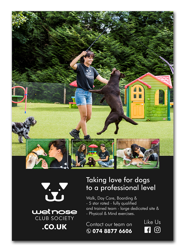 Diseño de Revista por ecorokerz para este proyecto | Diseño #19044298