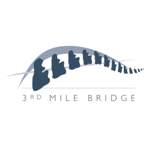 Logo Design by avapt21