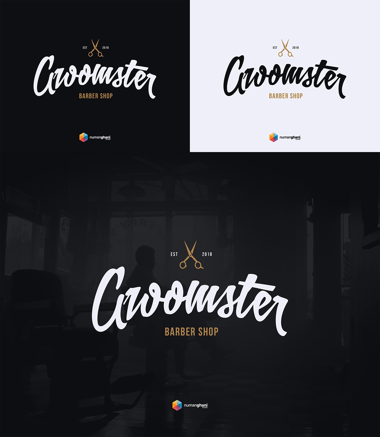 Logo Design by Numan Ghani Studio for this project | Design #19034314