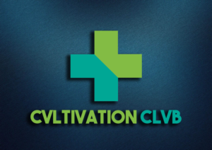 Logo Design by iem4st for Villa Tortuga | Design: #19156327