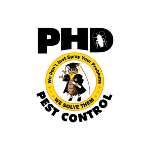 Logo Design by DAVIDEZIGN