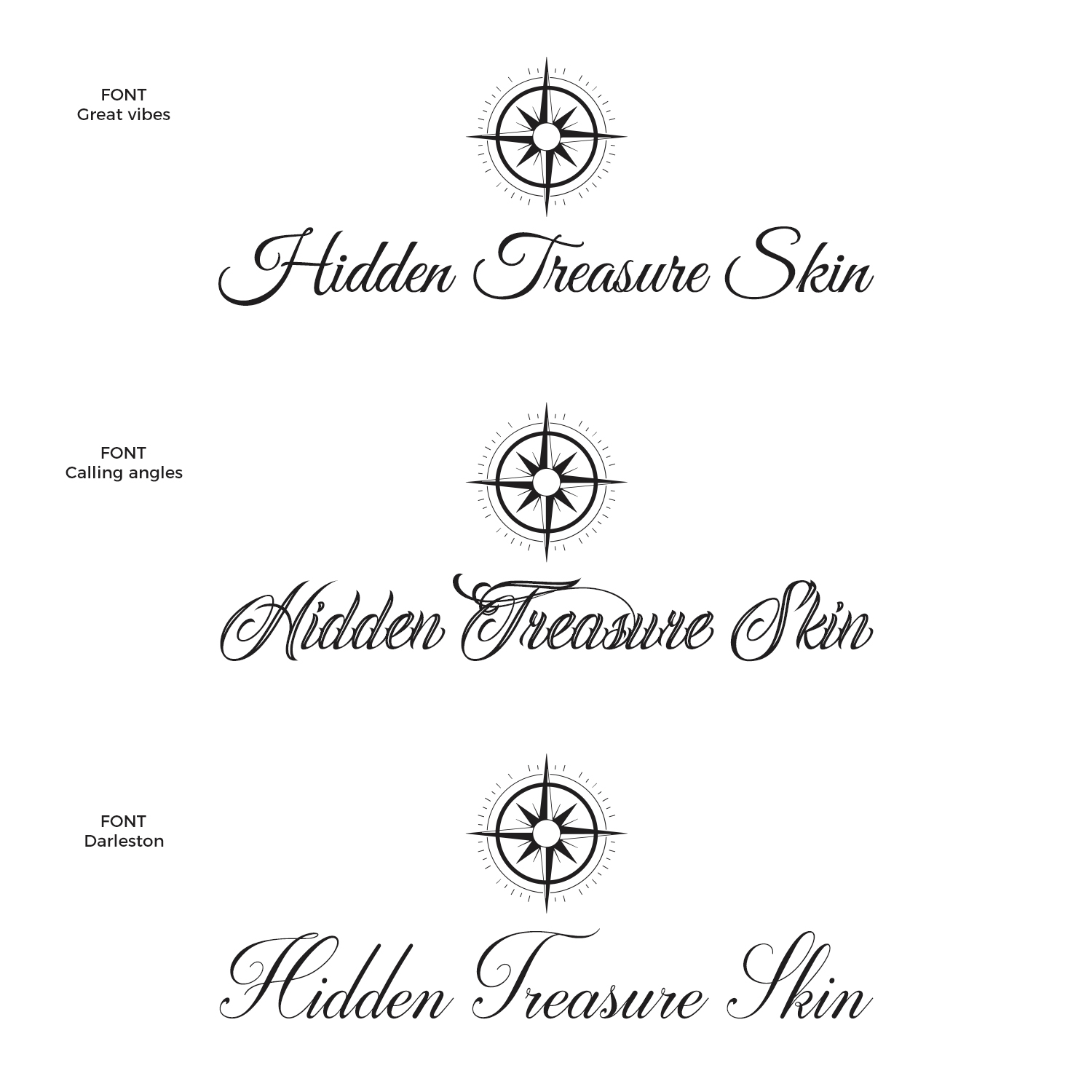 Logo Design by TSU Creations for Hidden Treasure Skin | Design #19052014