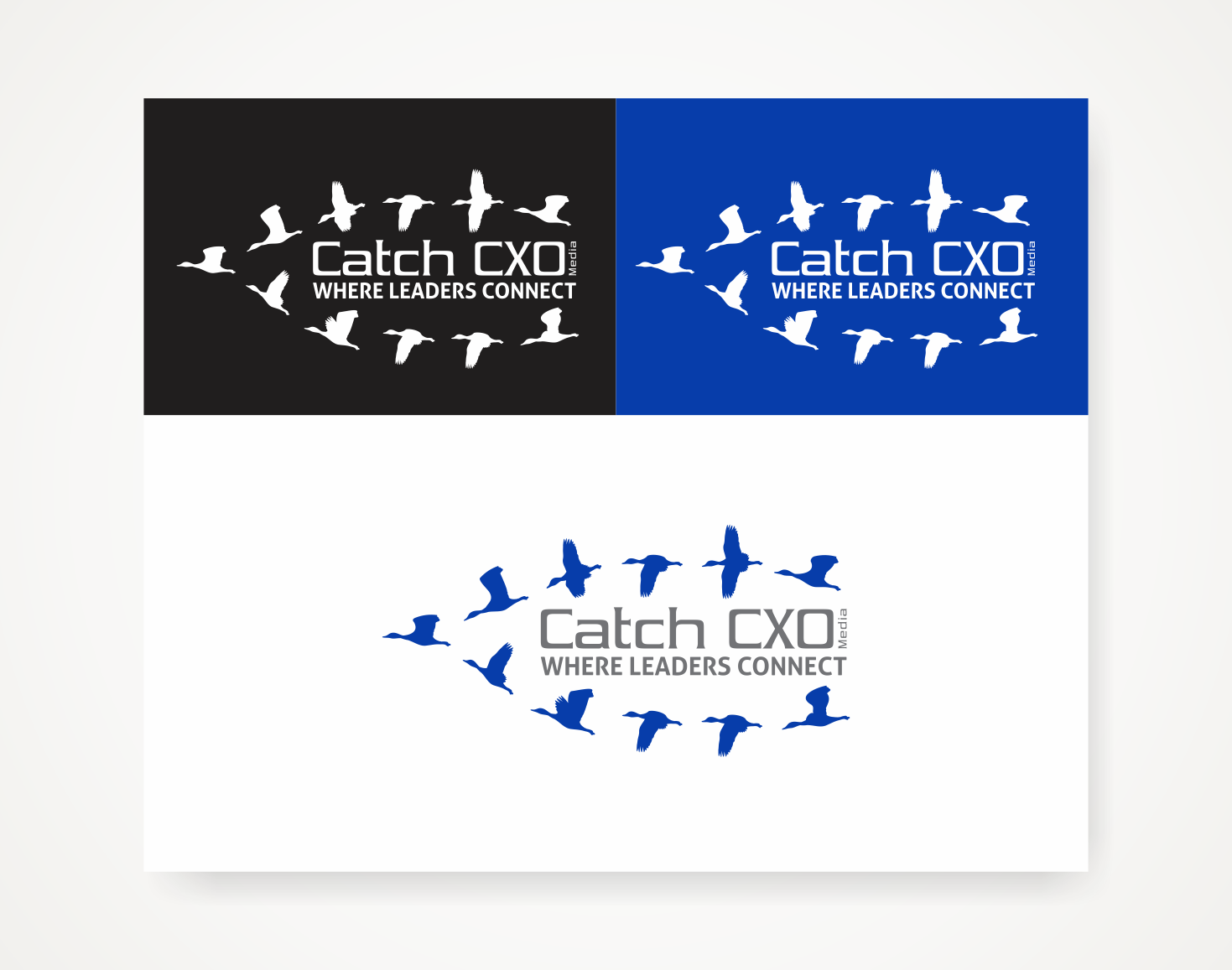 Logo Design by Savana for this project | Design #19046605