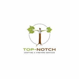Logo Design by Maxx