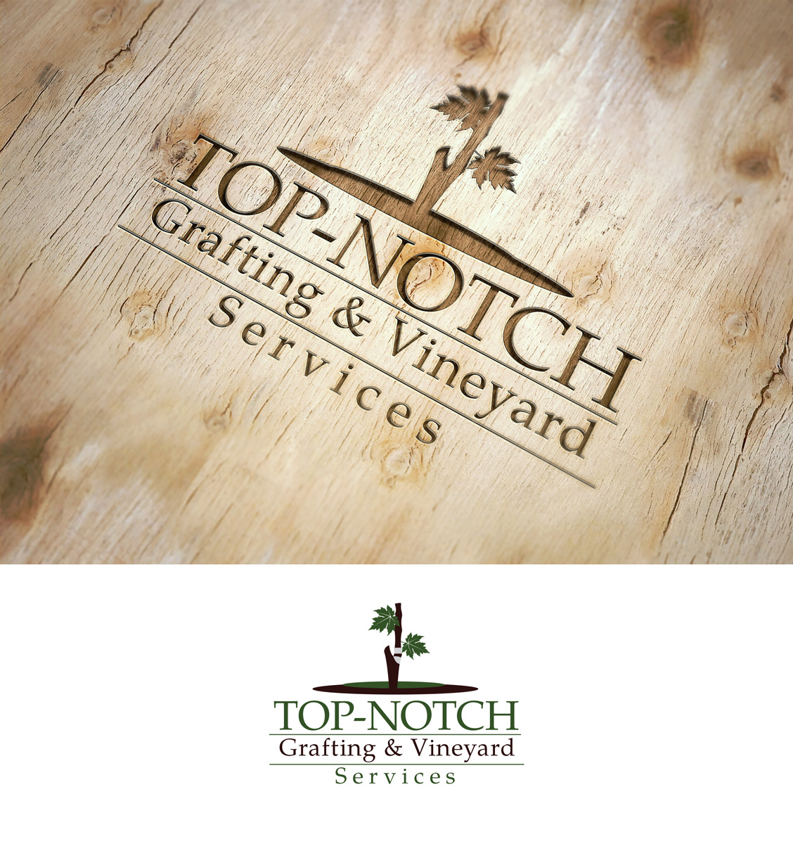 Logo Design for TOPNOTCH GRAFTING & VINEYARD SERVICES by Impressive