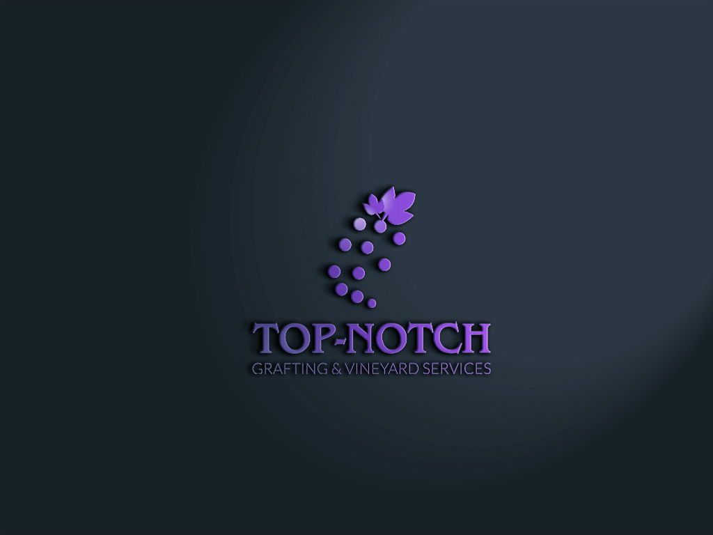 Logo Design by Rosaleen for this project | Design #19338749