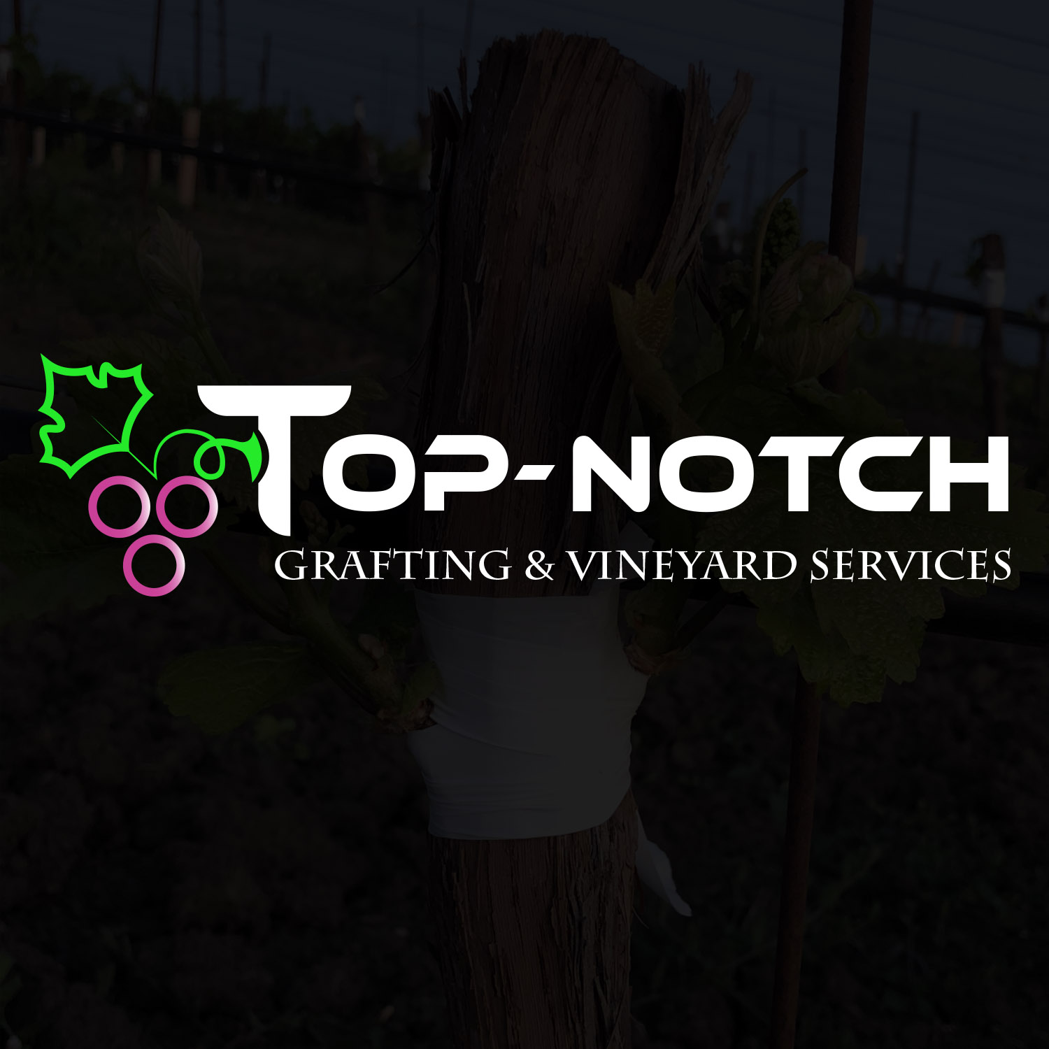 Logo Design by GESINER2020 for this project | Design #19378734