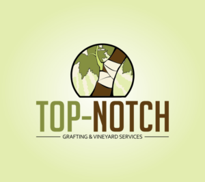 Logo Design by salfian27