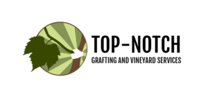 Logo Design by Hacke Design