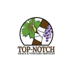 Logo Design by Top1Design