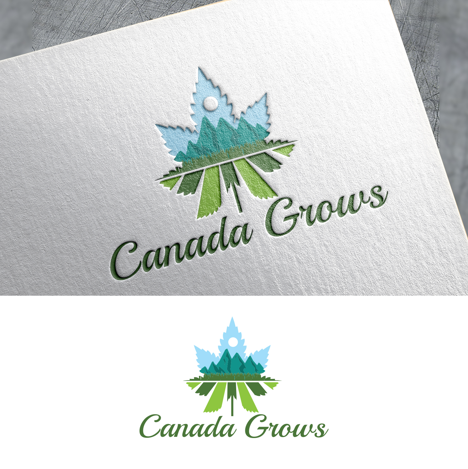 Logo Design by Impressive Solutions for this project | Design #19056257