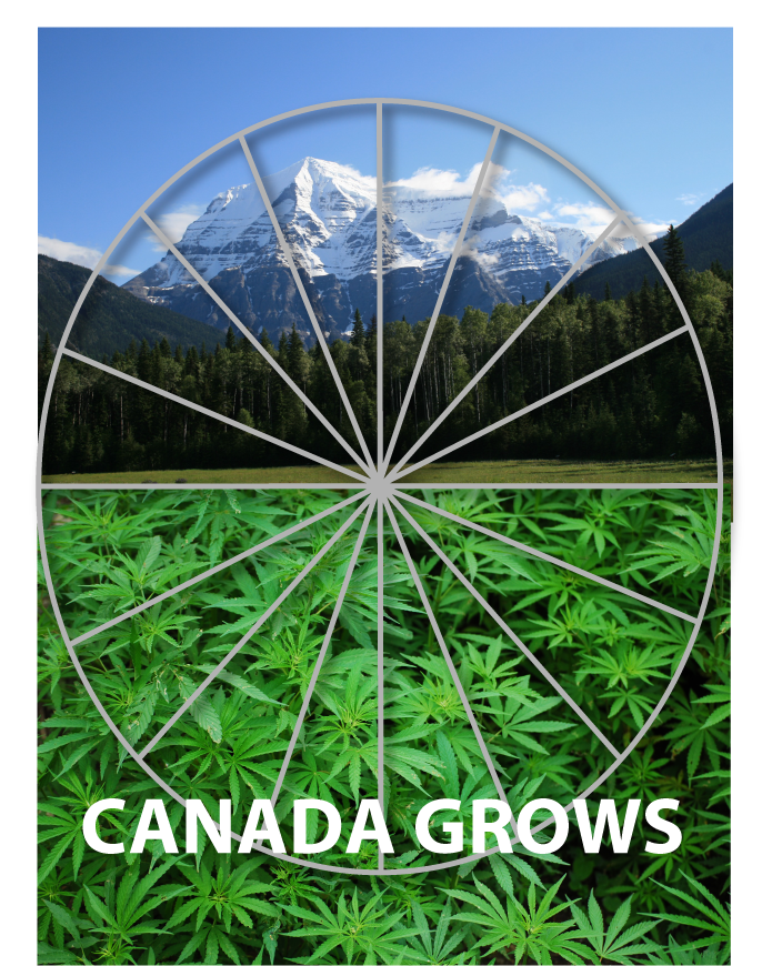 Logo Design by archranbelo for this project | Design #19046641