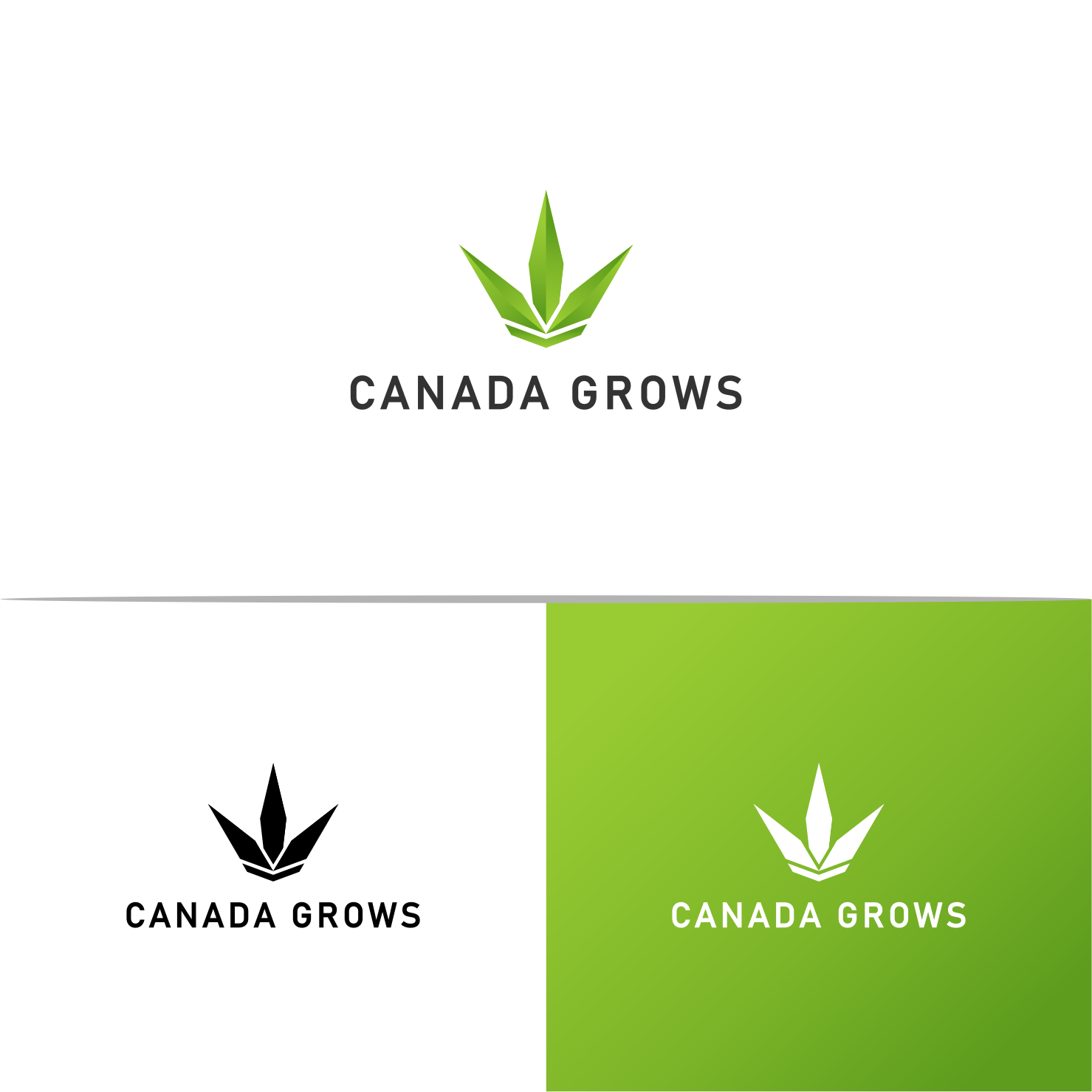 Diseño de Logo por dumx para este proyecto | Diseño #19049527