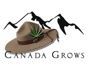 Logo Design by José Paris Valero