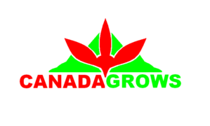 Logo Design by Mohammed 26