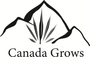 Logo Design by Navii4167