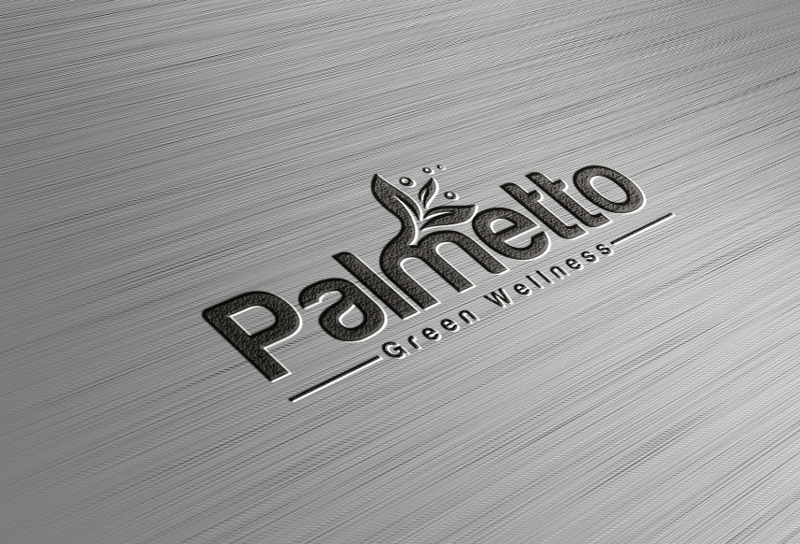 Logo Design by headphone00 for this project | Design #19072497