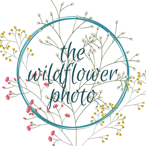 Logo Design by Siouxland Susan for this project | Design #19099808