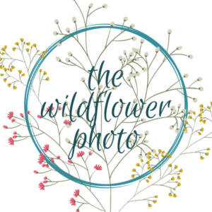 Logo Design by Siouxland Susan for this project | Design #19099808