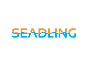 Logo Design by Smart designer 3