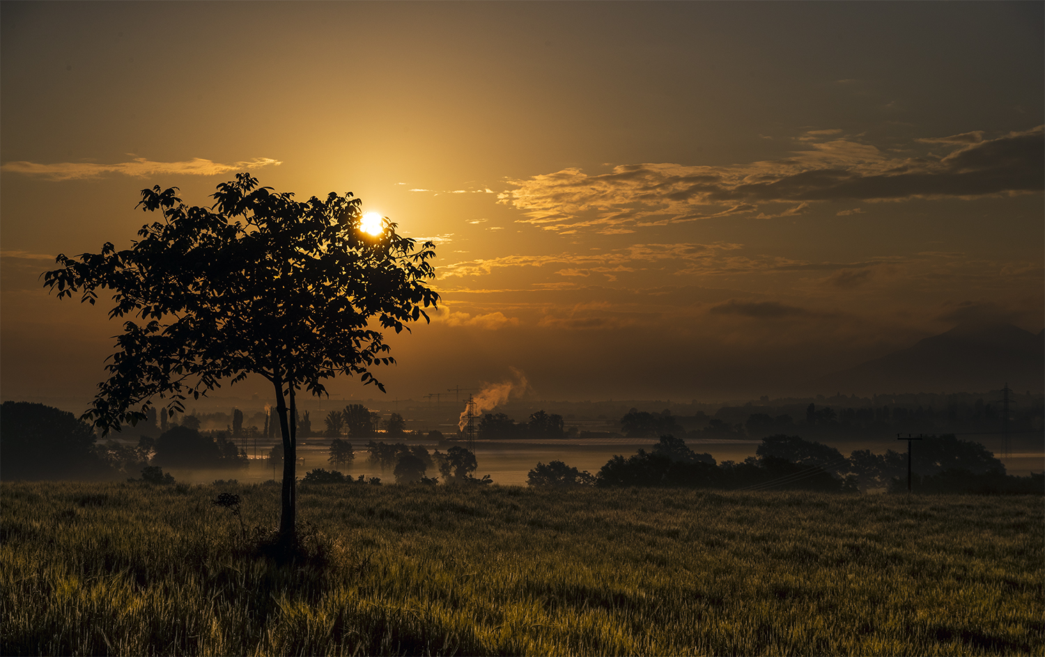 Photography by enrager for DesignCrowd (Community Contests) | Design #19157216