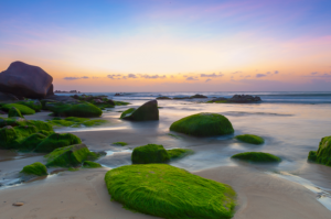 Photography by TDuong