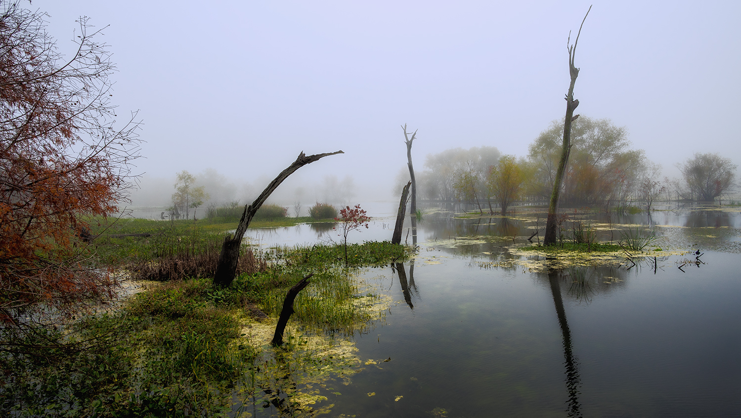 Photography by Manson Nellum for DesignCrowd (Community Contests) | Design #19168134