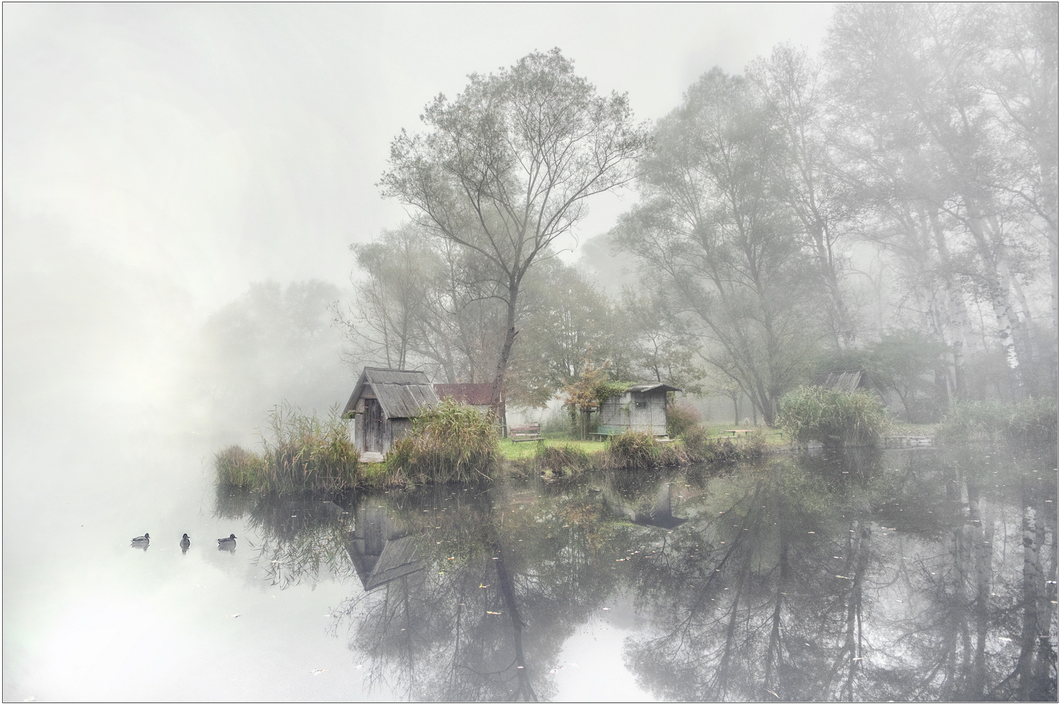 Fotografía por Ungaro para DesignCrowd (Community Contests) | Diseño #19065958