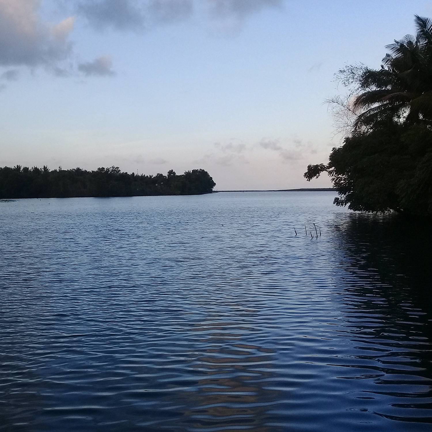 Photography by adriyan for DesignCrowd (Community Contests) | Design #19142654