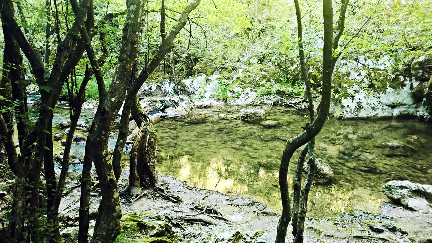 Photography by Jelena 7 for DesignCrowd (Community Contests) | Design #19092330