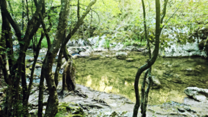 Photography by Jelena 7