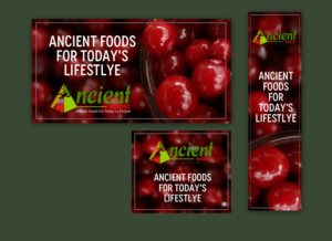 Banner Ad Design by chandrayaan.creative for Visions of Health | Design: #19095484