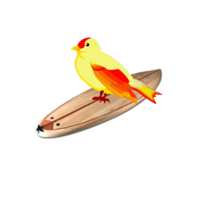 Logo Design by Usama0070 for Trogon Resorts, Inc | Design: #19235655