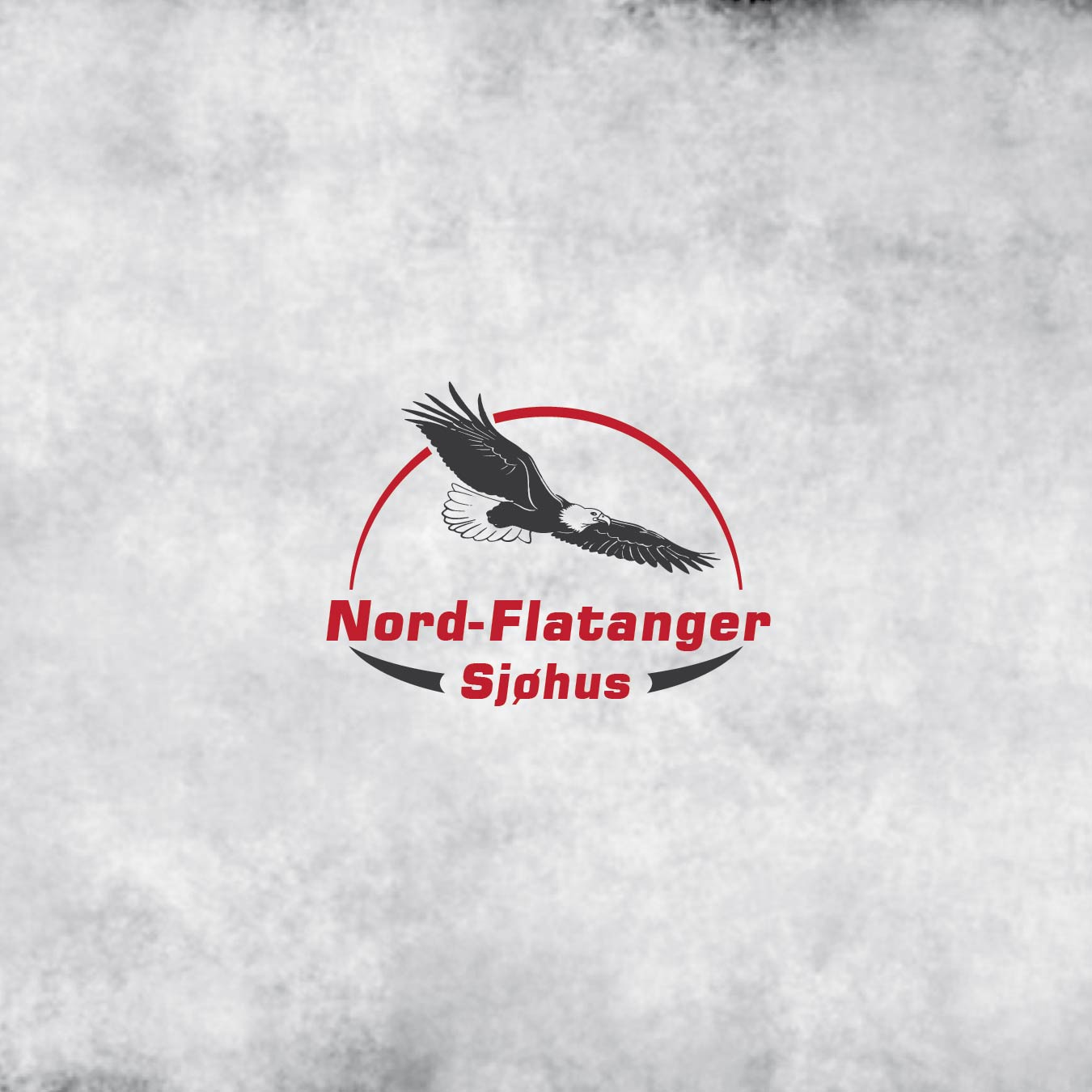 Logo Design by Adnan Ansari for Northern Explorers AS | Design #19115395