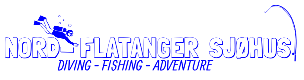 Logo Design by Jacob.Larsson for Northern Explorers AS | Design #19082457