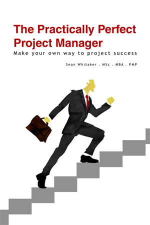 Book Cover Design by Diogo Landô for this project | Design #675388