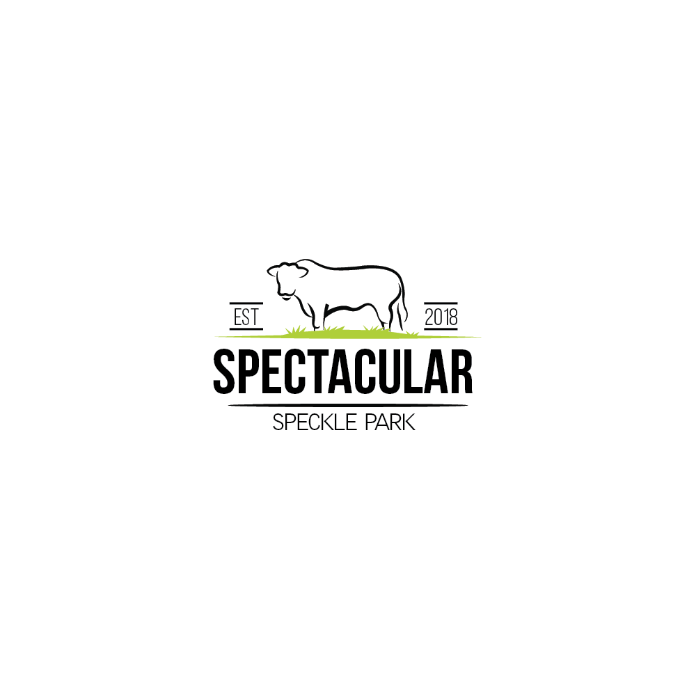 Logo Design by TB Designs for this project | Design #19084075