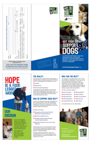 Brochure Design by eleven
