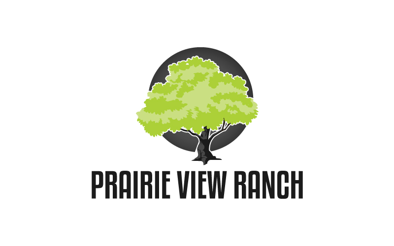 Logo Design by gurudev3 for this project | Design #19093780