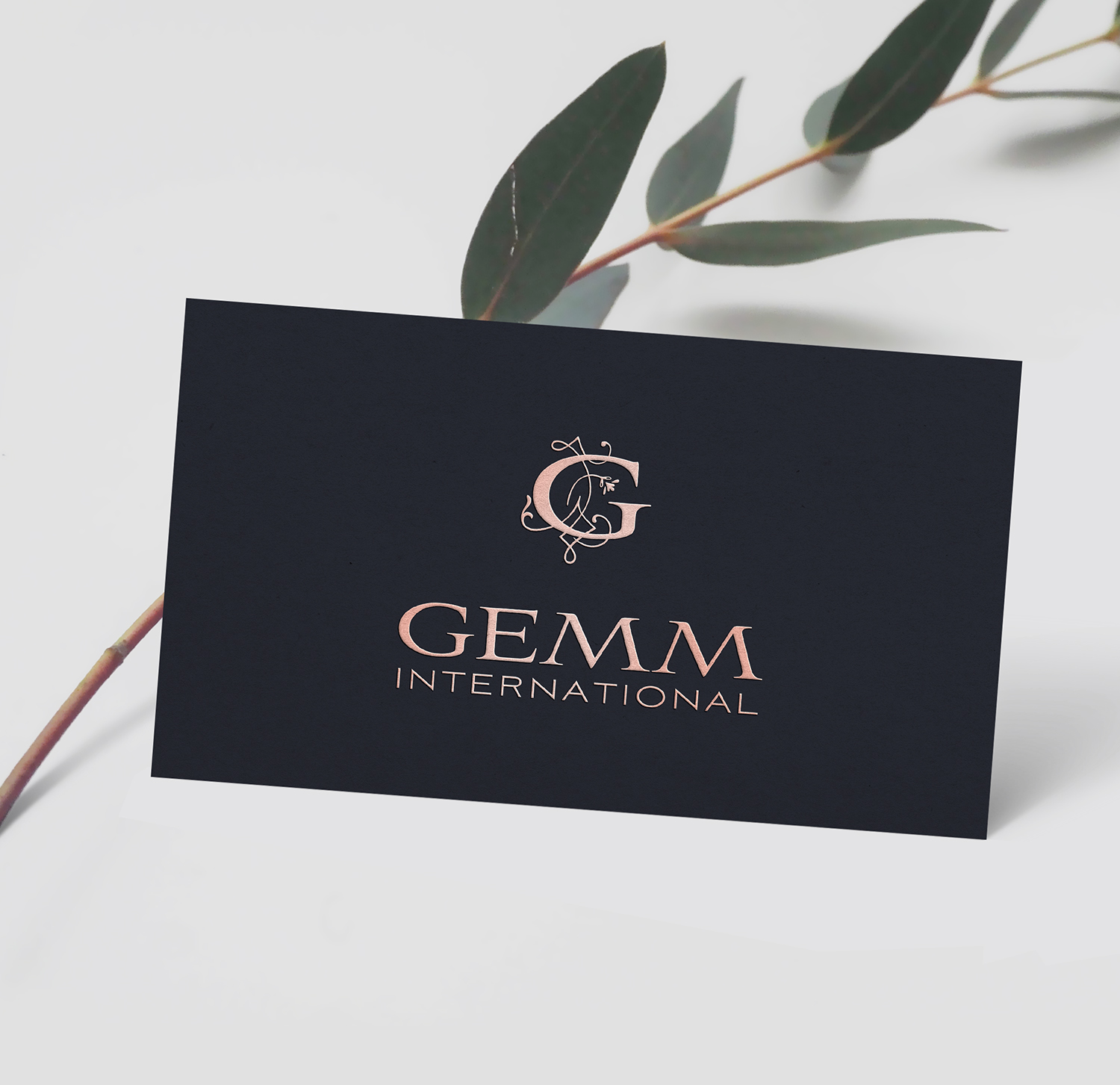 Logo Design by Visifine for this project | Design #19095776