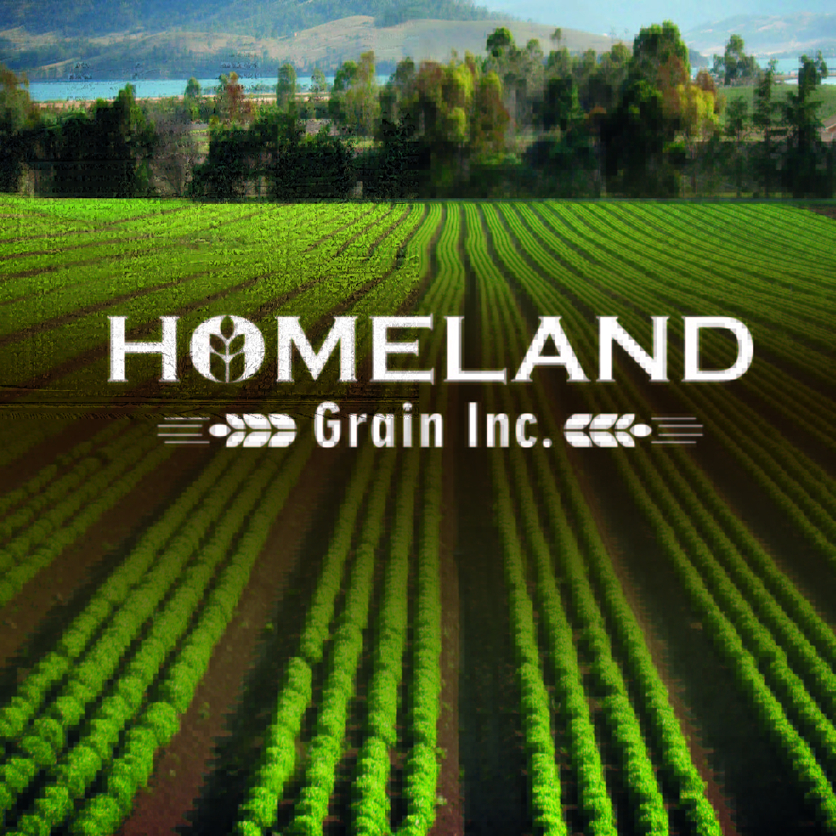 Logo-Design von Gabriel T. Marques für dieses Projekt | Design #19081508