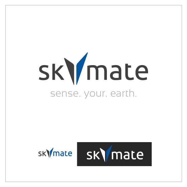 Logo Design by Tiptopka for DigiSky srl | Design #19132365