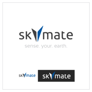 Logo Design by Tiptopka for DigiSky srl | Design: #19132365