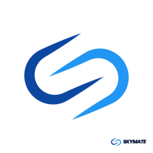 Logo Design by Ronelogo for DigiSky srl | Design: #19084082