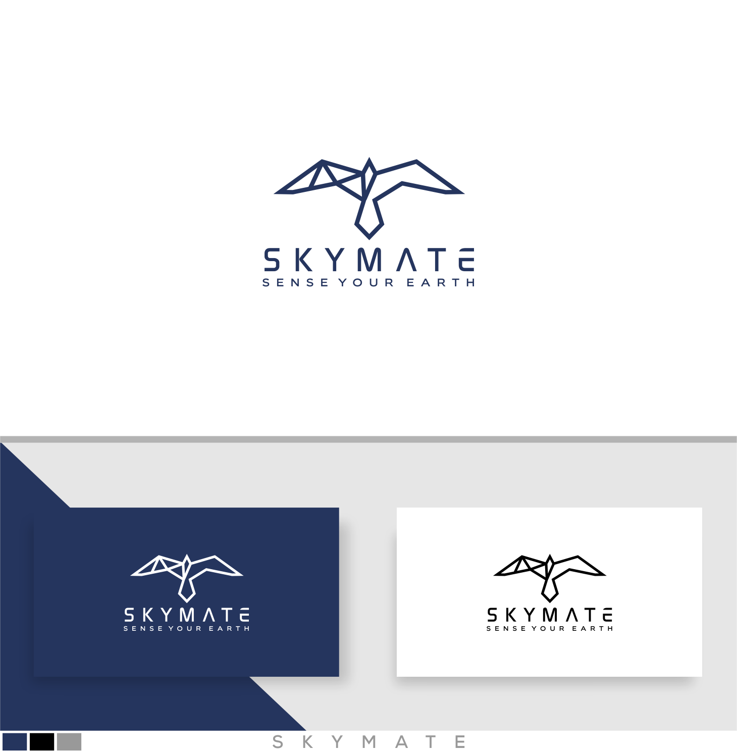 Logo Design by dumx for DigiSky srl | Design #19133669