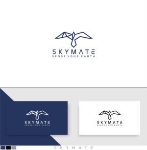 Logo Design by dumx for DigiSky srl | Design: #19133669