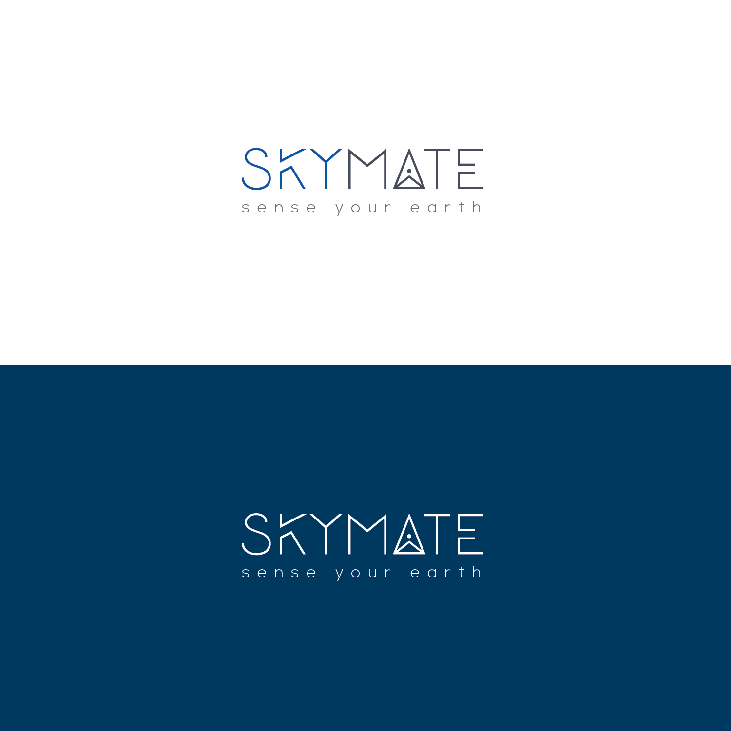 Design de Logo par Muhammad Imran 3 pour DigiSky srl | Design #19086840