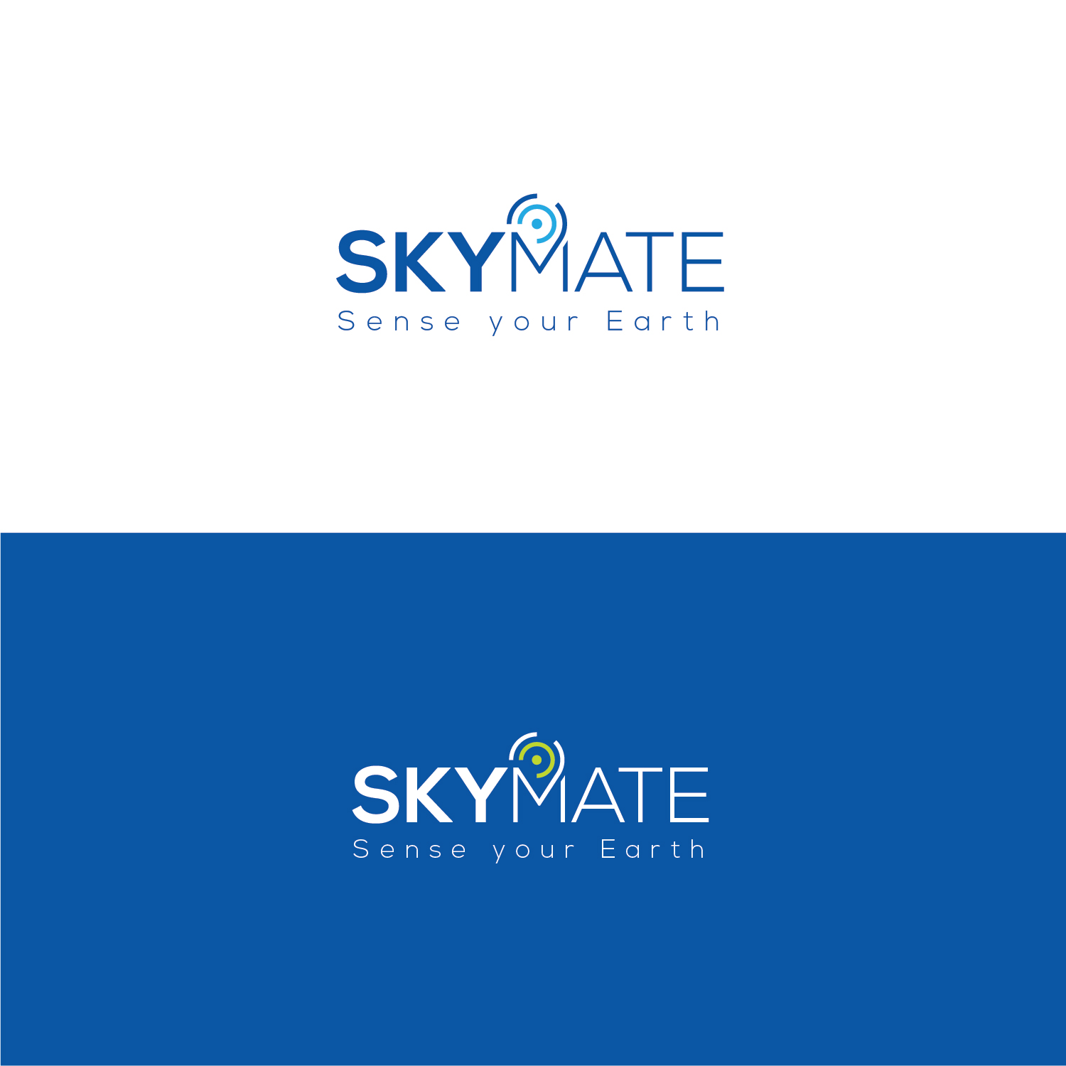 Logo Design by Muhammad Imran 3 for DigiSky srl | Design #19086841